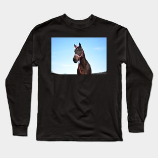 christmas horse photograph Long Sleeve T-Shirt